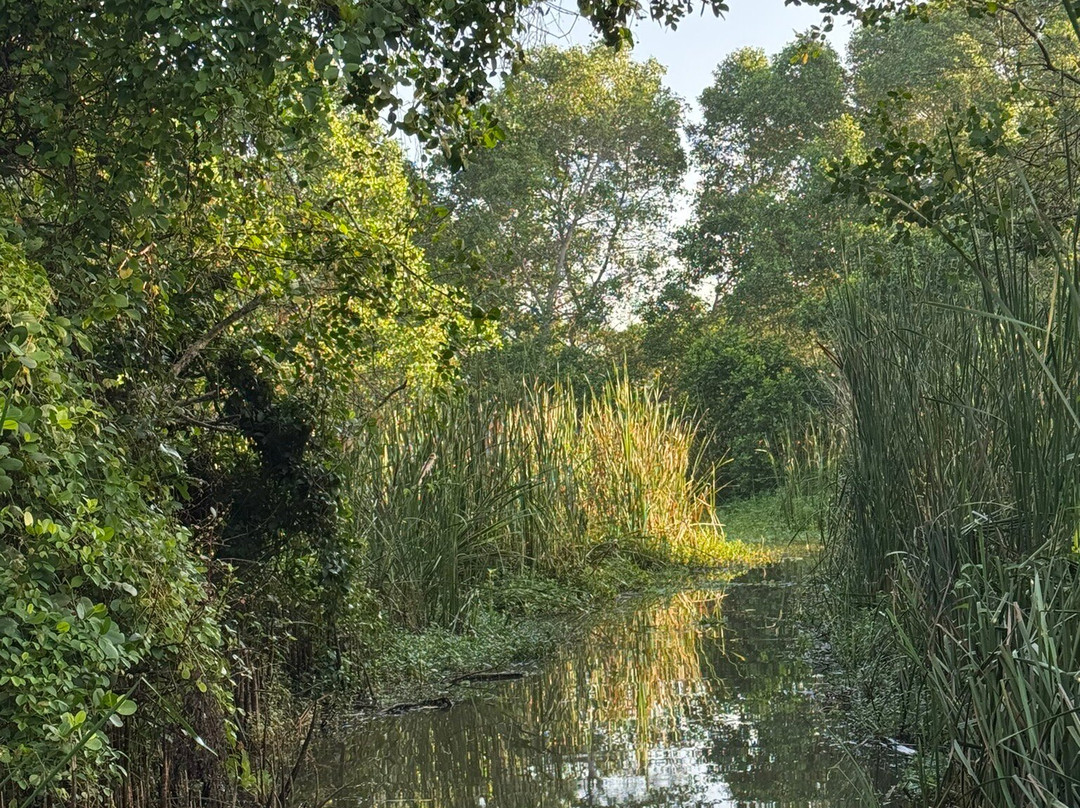 Kalametiya Bird Watching-唐卡拉必去景点
