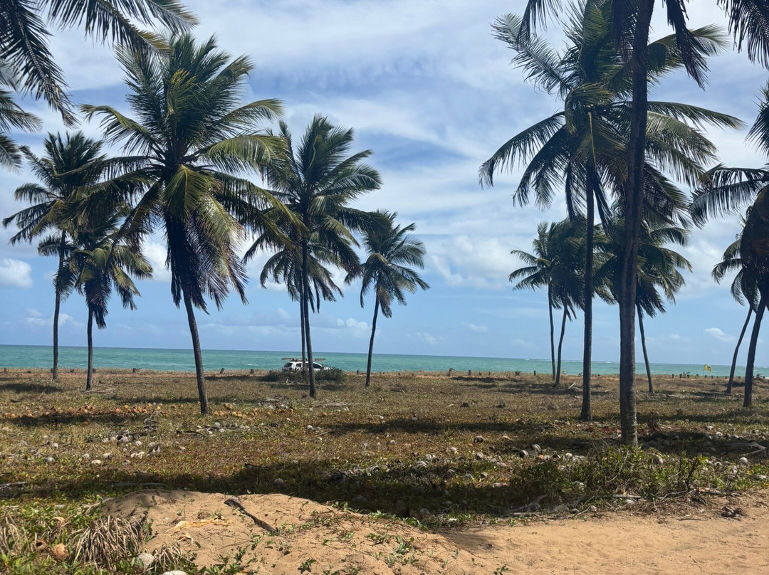 4trip | Passeios e transporte-嘎林海斯港必去景点