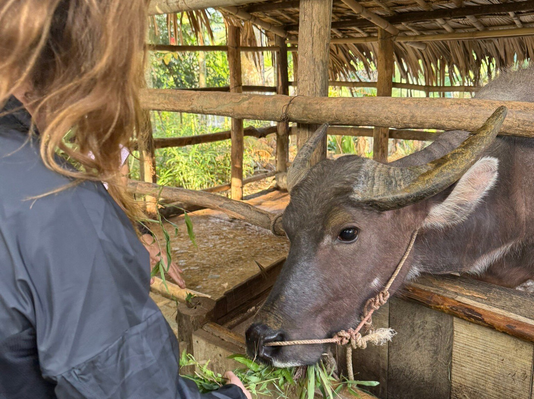 Pu Luong Ancient Stilt House-清化必去景点