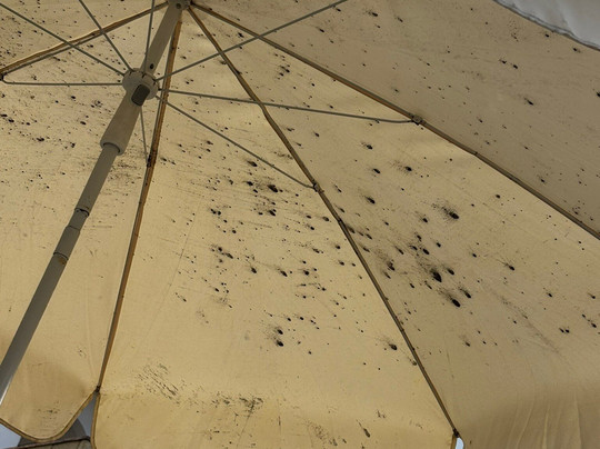 Playa De Las Americas-美洲海滩必去景点