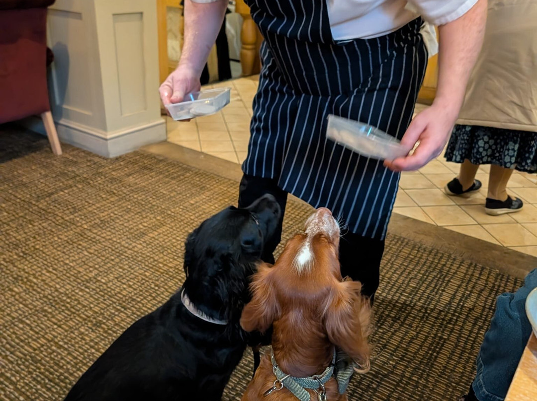 The Three Swans Hotel, Hungerford主图