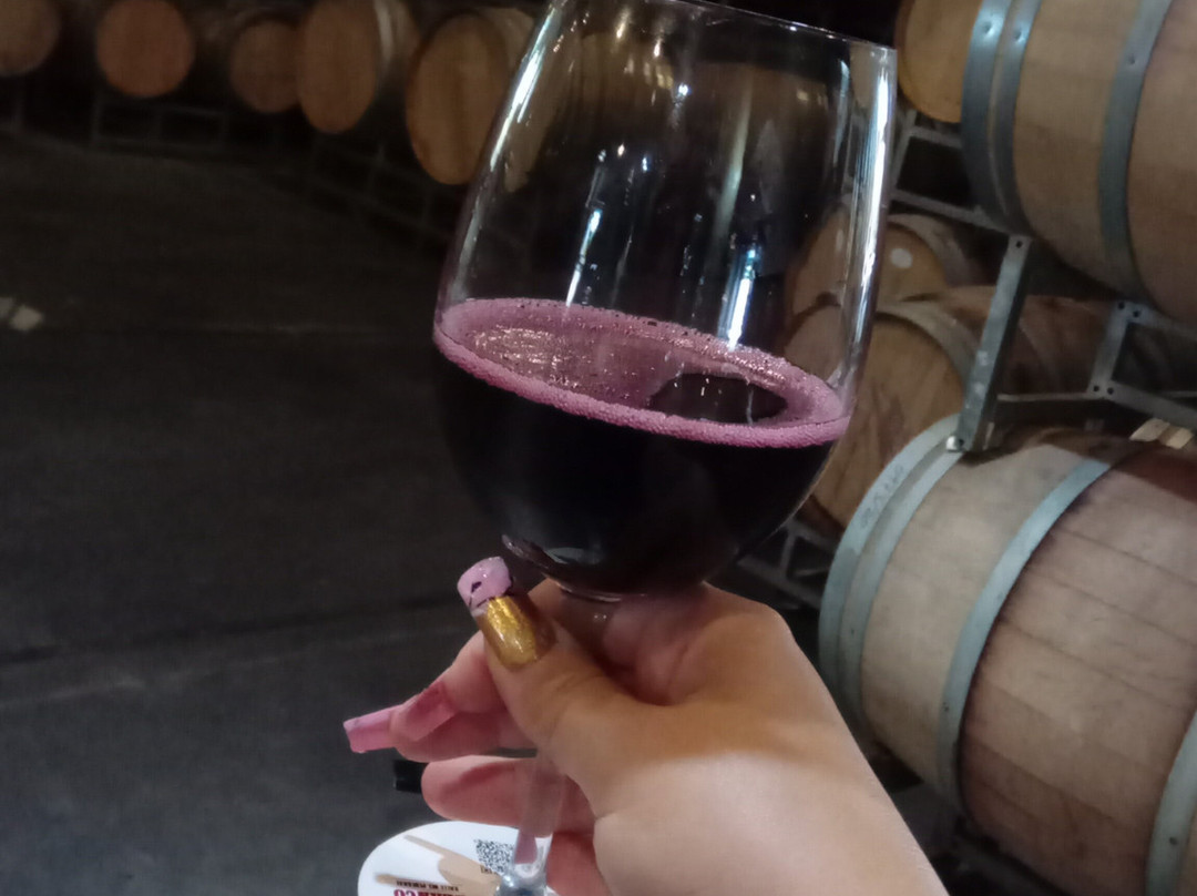 Bodega Los Toneles-门多萨必去景点