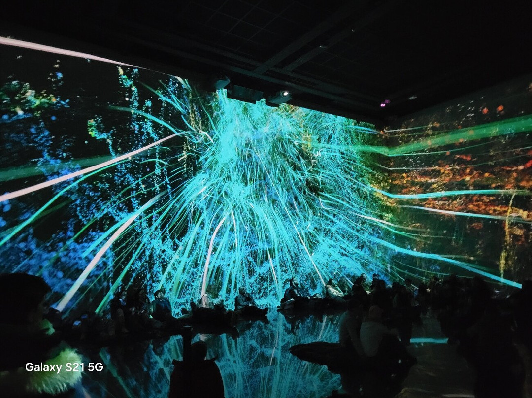 Bassins De Lumières-波尔多必去景点