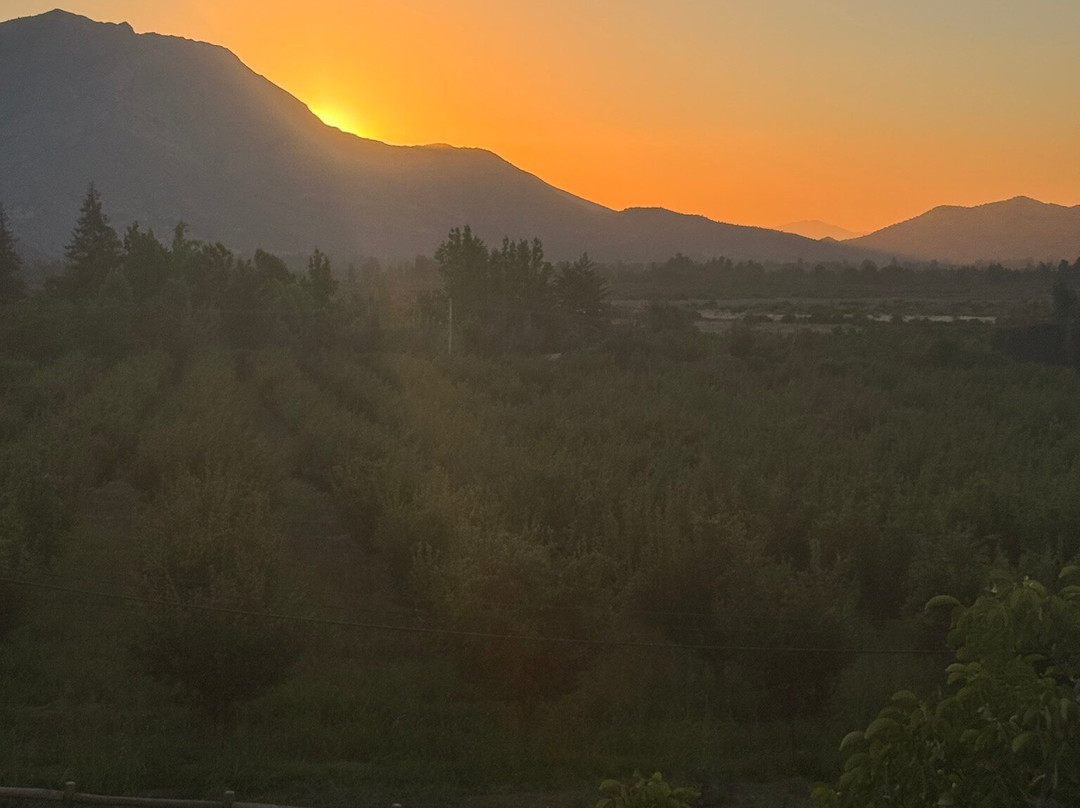 Alyan Family Wines-Pirque必去景点