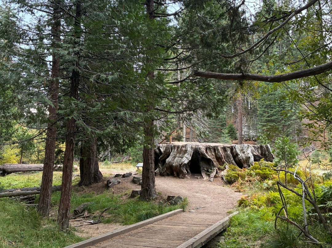 Big Stump Basin-红杉&国王峡谷国家公园必去景点