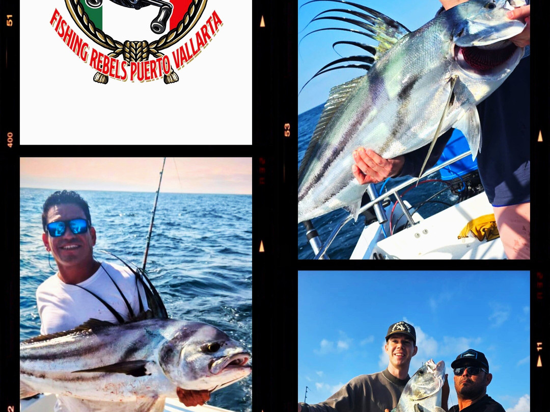 Fishing Rebels-瓦拉塔港必去景点