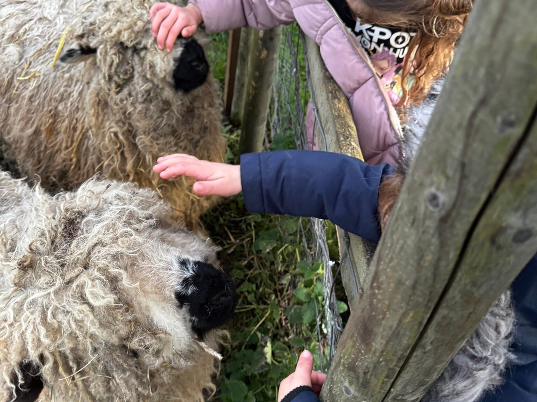 Quex Adventure Farm Park-Birchington必去景点