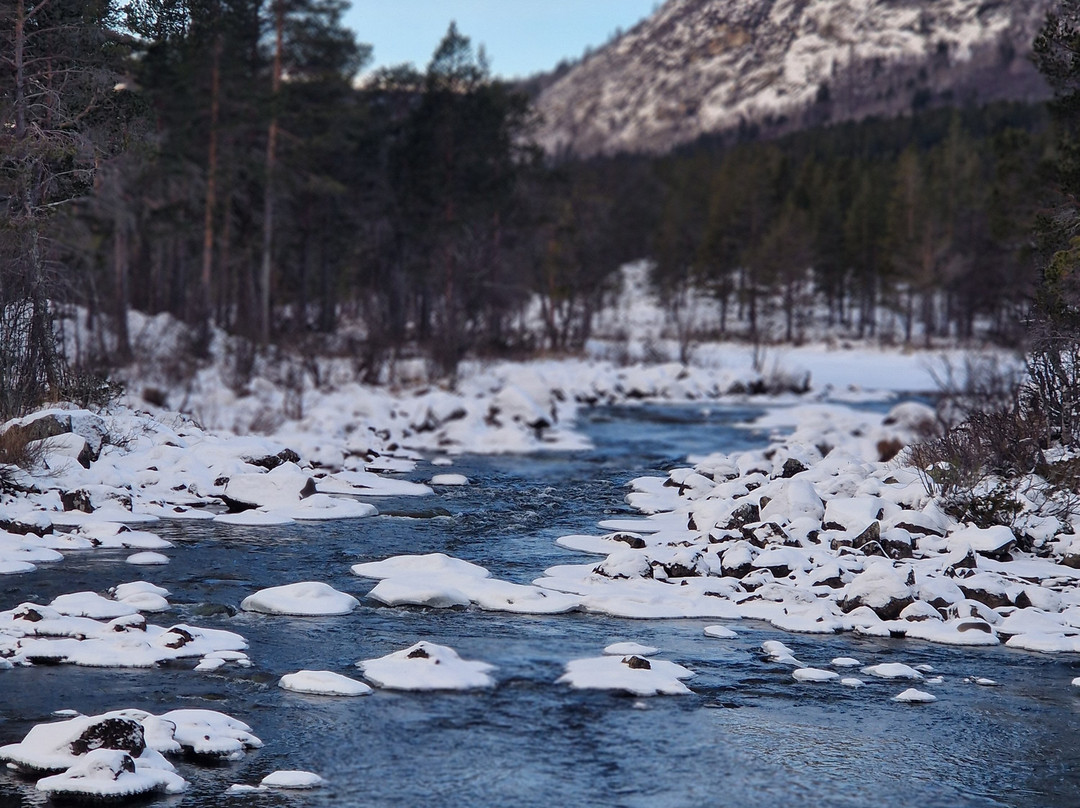 Dagali Opplevelser-耶卢必去景点