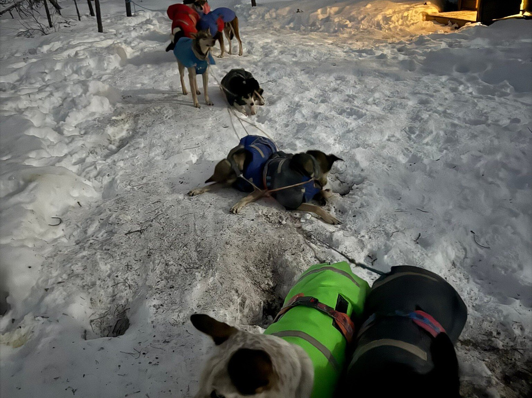 Bohemian Lucky Bastards-Jukkasjarvi必去景点