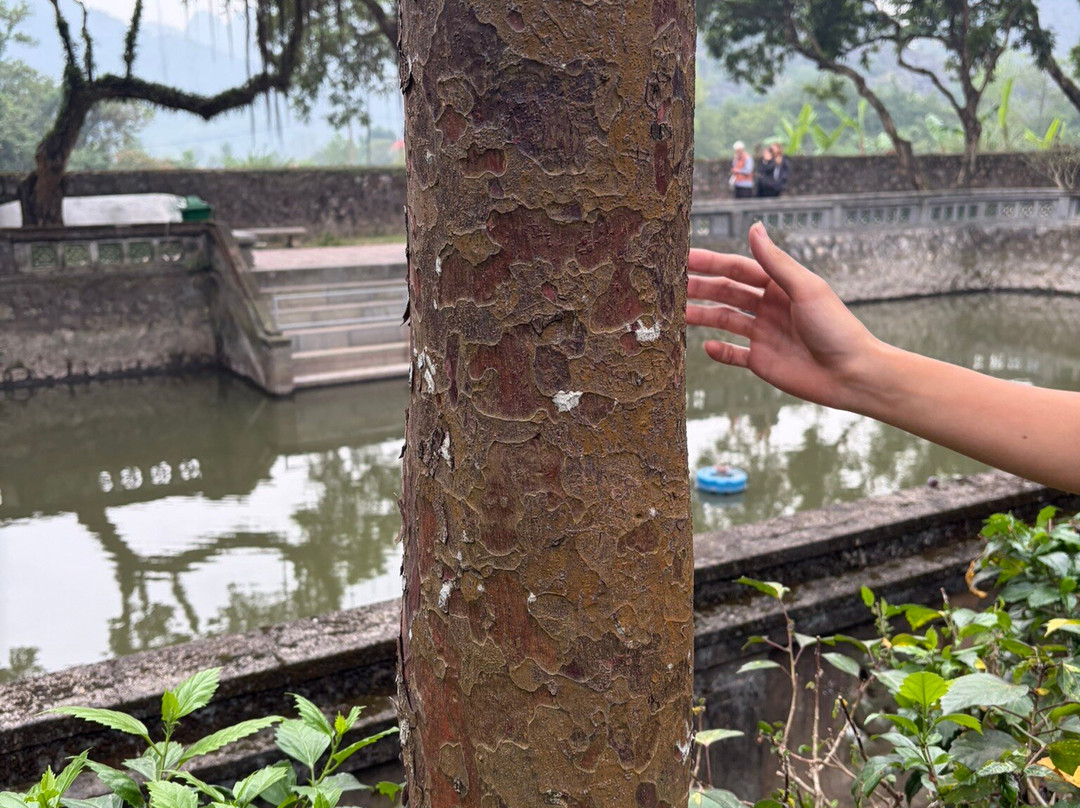 Hoa Lư Ancient Capital-宁平必去景点