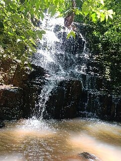 Figueira Centenaria-Venancio Aires必去景点