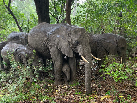 Incredible Africa Adventures-莫西必去景点