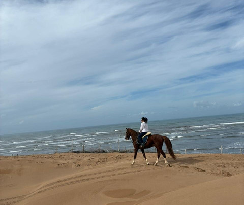 Mogador Horse-Diabat必去景点