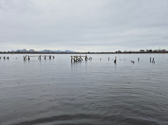 Oyster Bay Tours-科尔斯湾必去景点