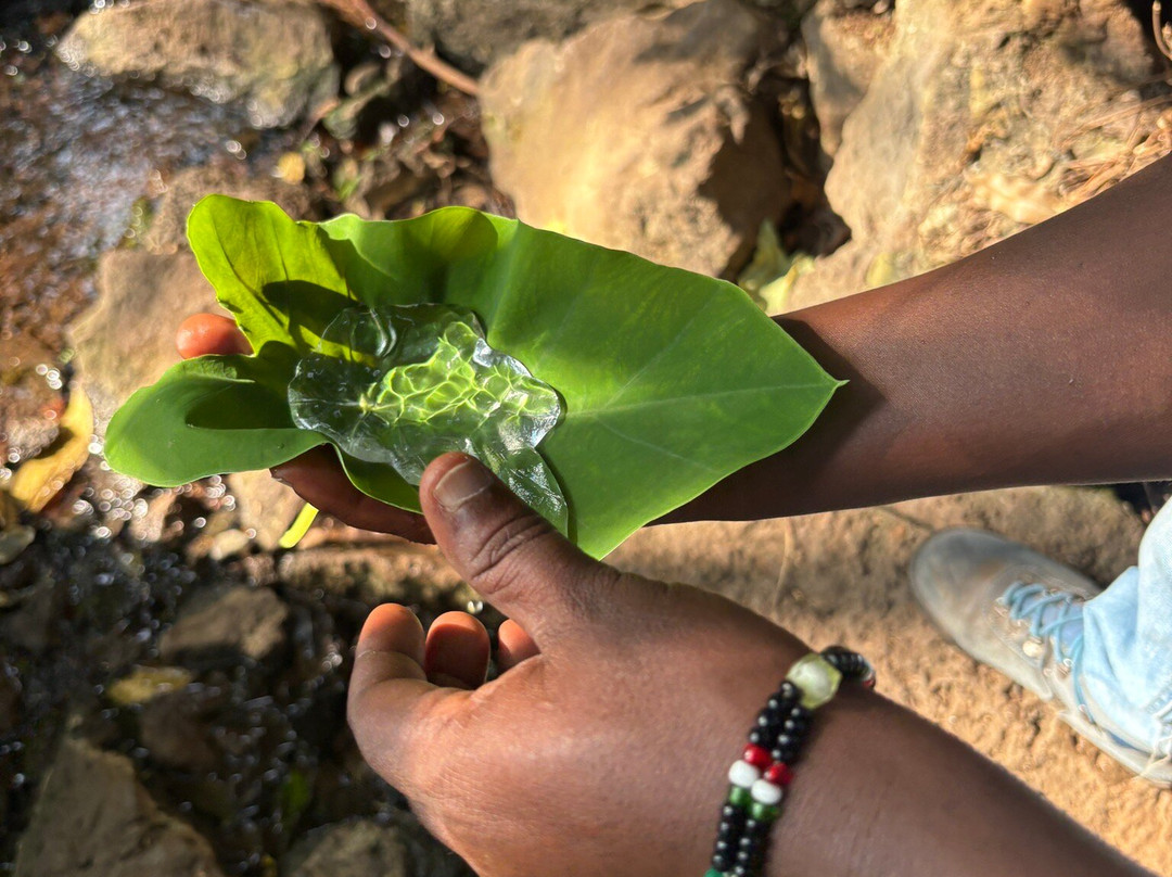 Tarik Rift Valley Tour-Arba Minch必去景点