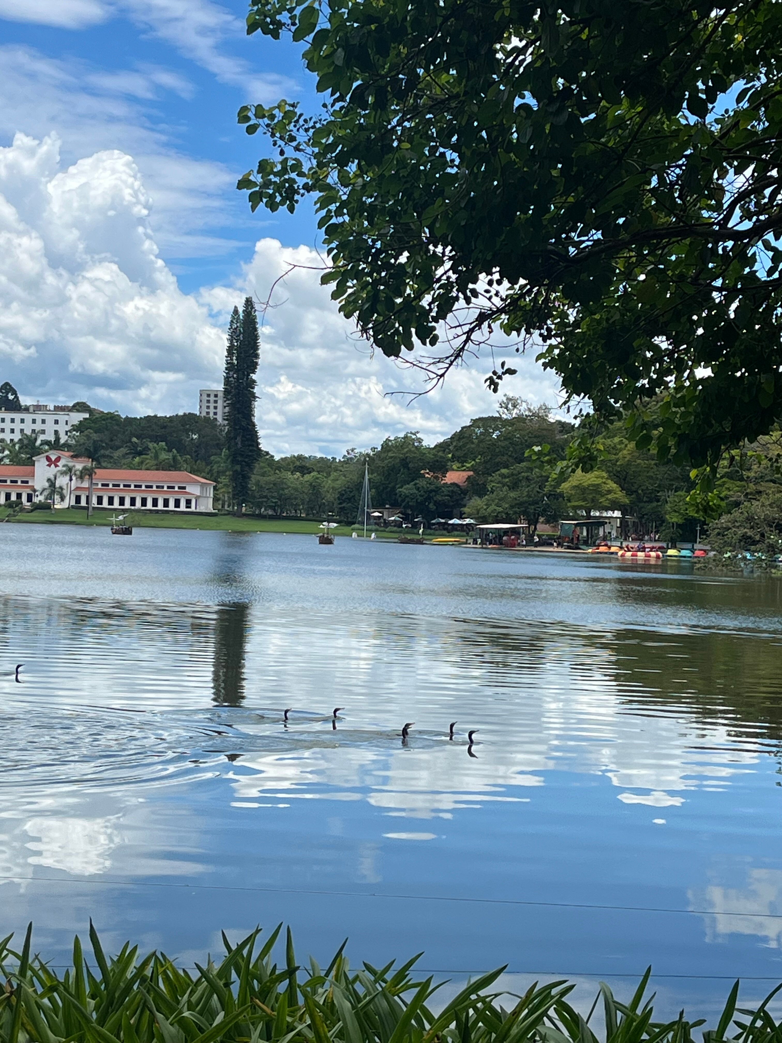 Hotel Central Parque-官方