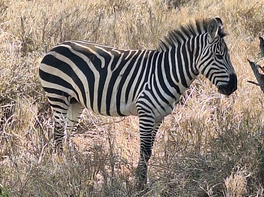 Aventure Safaris-蒙巴萨必去景点