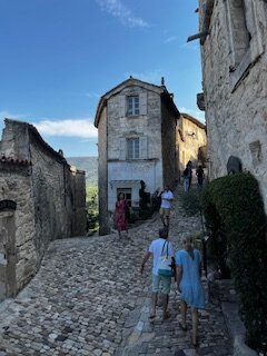 Philippe Guide in Provence-圣雷米必去景点
