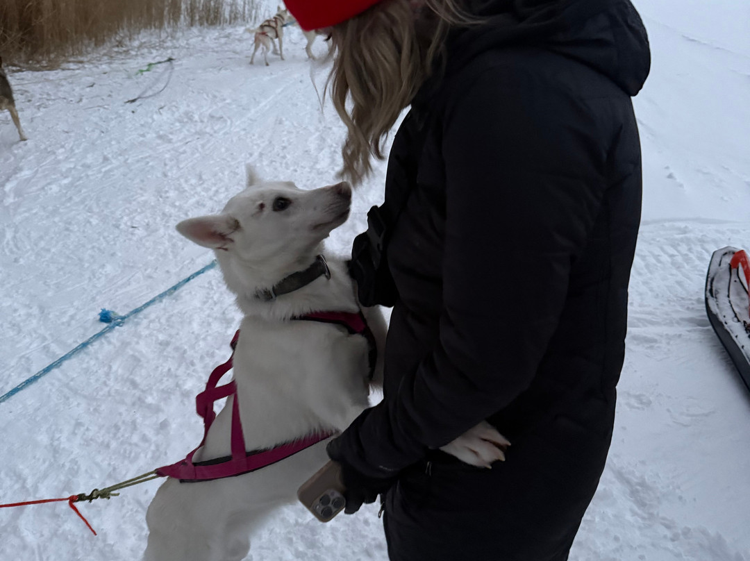 Husky & Yoga Nature-罗瓦涅米必去景点