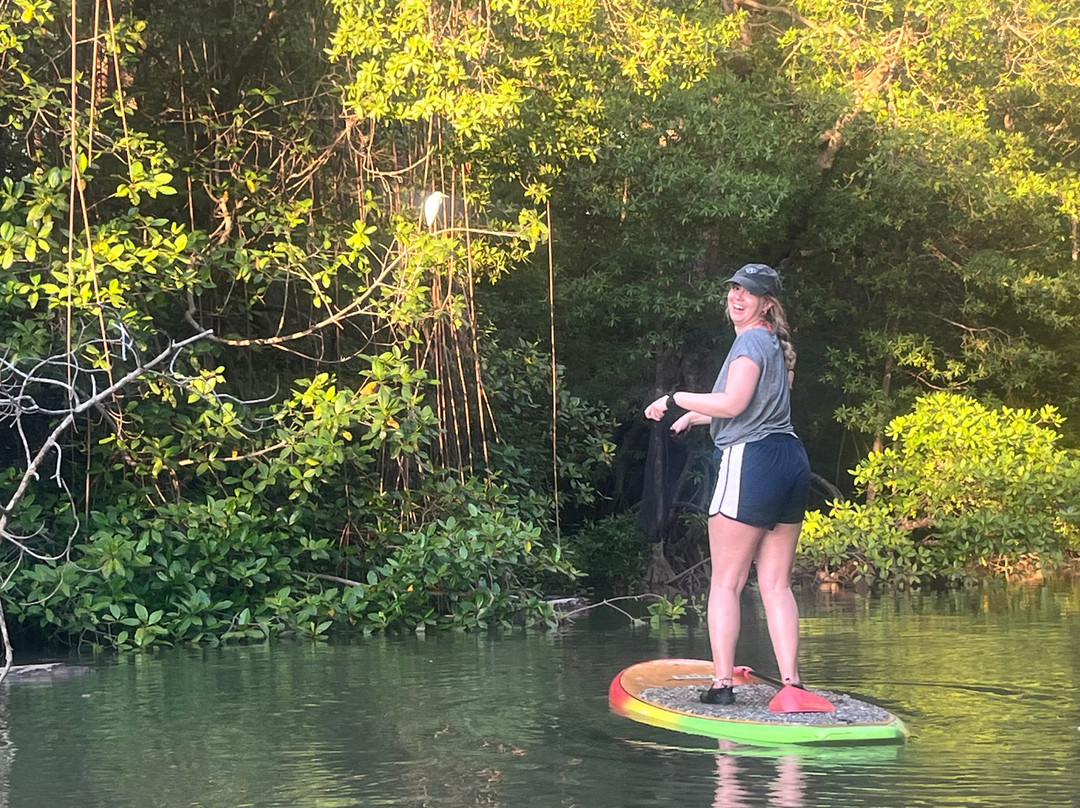 Pineapple Tours-主日镇必去景点