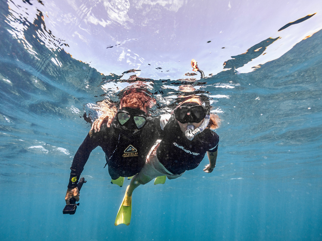 Ningaloo Reef Dive-珊瑚湾必去景点