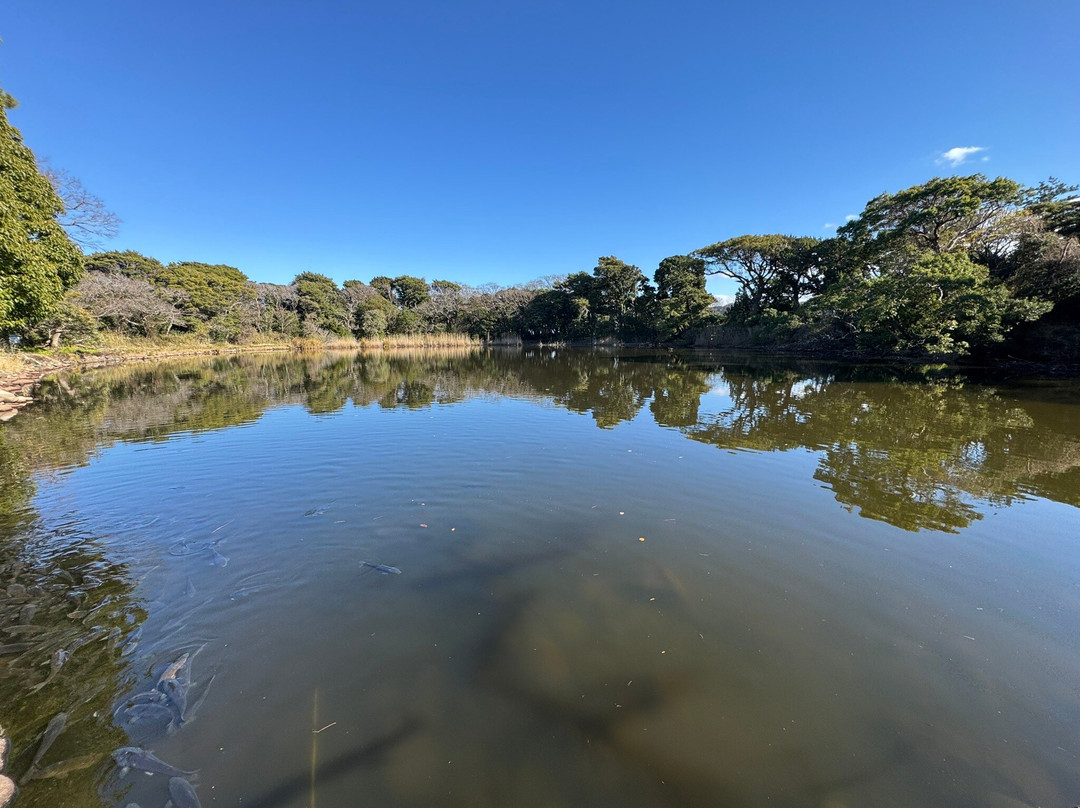 Ose Shrine-沼津市必去景点