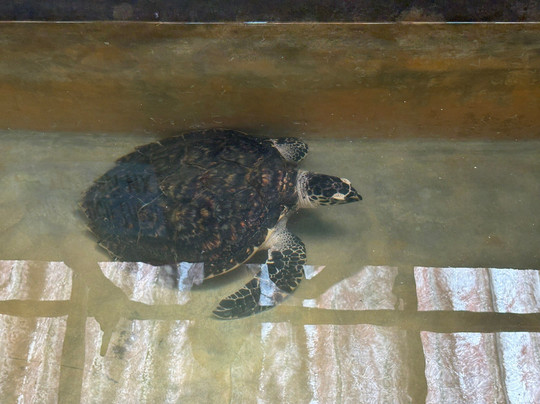 Ciao Bella Holidays-Malabe必去景点