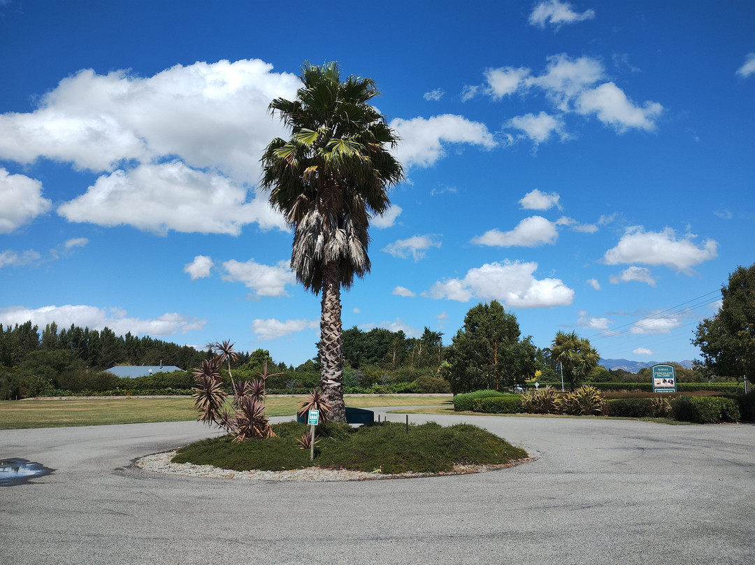 Makana Confections-布伦海姆必去景点