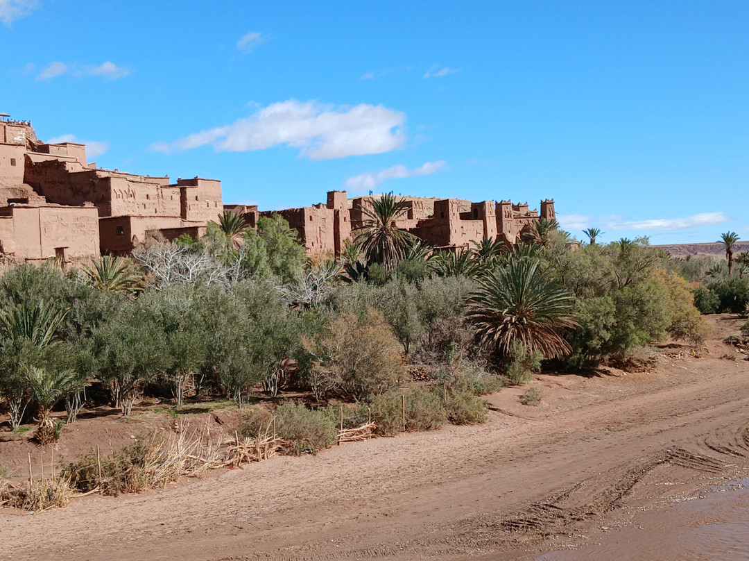 Zagora Experience-非斯必去景点