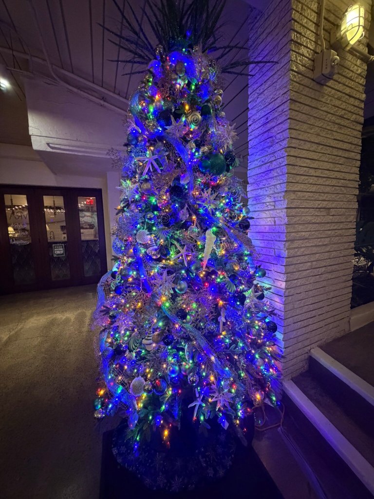 冲浪顶酒店及游泳俱乐部-官方