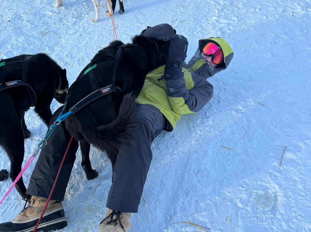 Haukeli Husky-Rauland必去景点