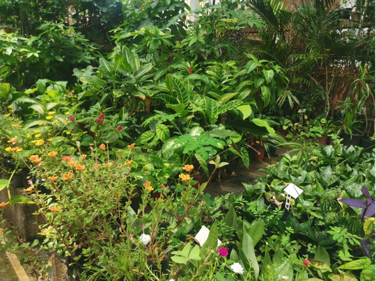 Tizardin-红地必去景点