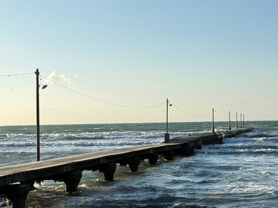 Okamoto Pier-南房总市必去景点