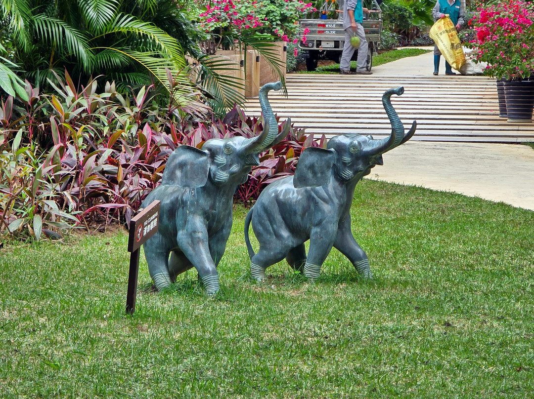 椰梦长廊-三亚市必去景点