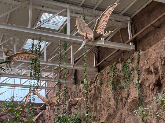 Poema Del Mar-大加那利岛拉斯帕尔马斯必去景点