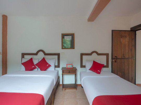 OYO Hotel Coyopolan主图