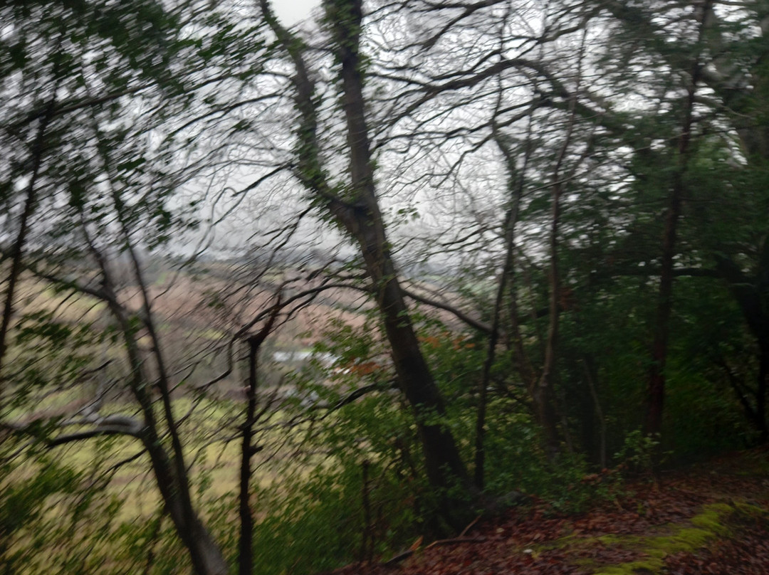 St Botolph Church-海威科姆必去景点