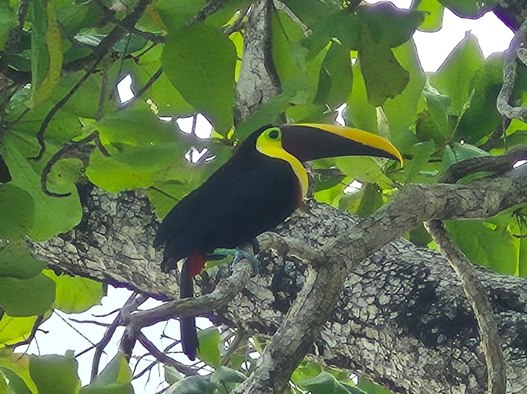 Best of Costa Rica DMC-圣何塞必去景点