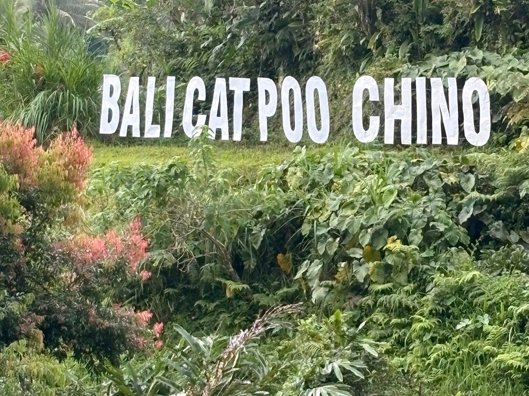 Bali Golden Destination-巴厘岛必去景点