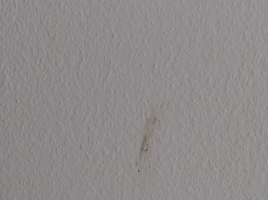 Seehotel Schorfheide主图