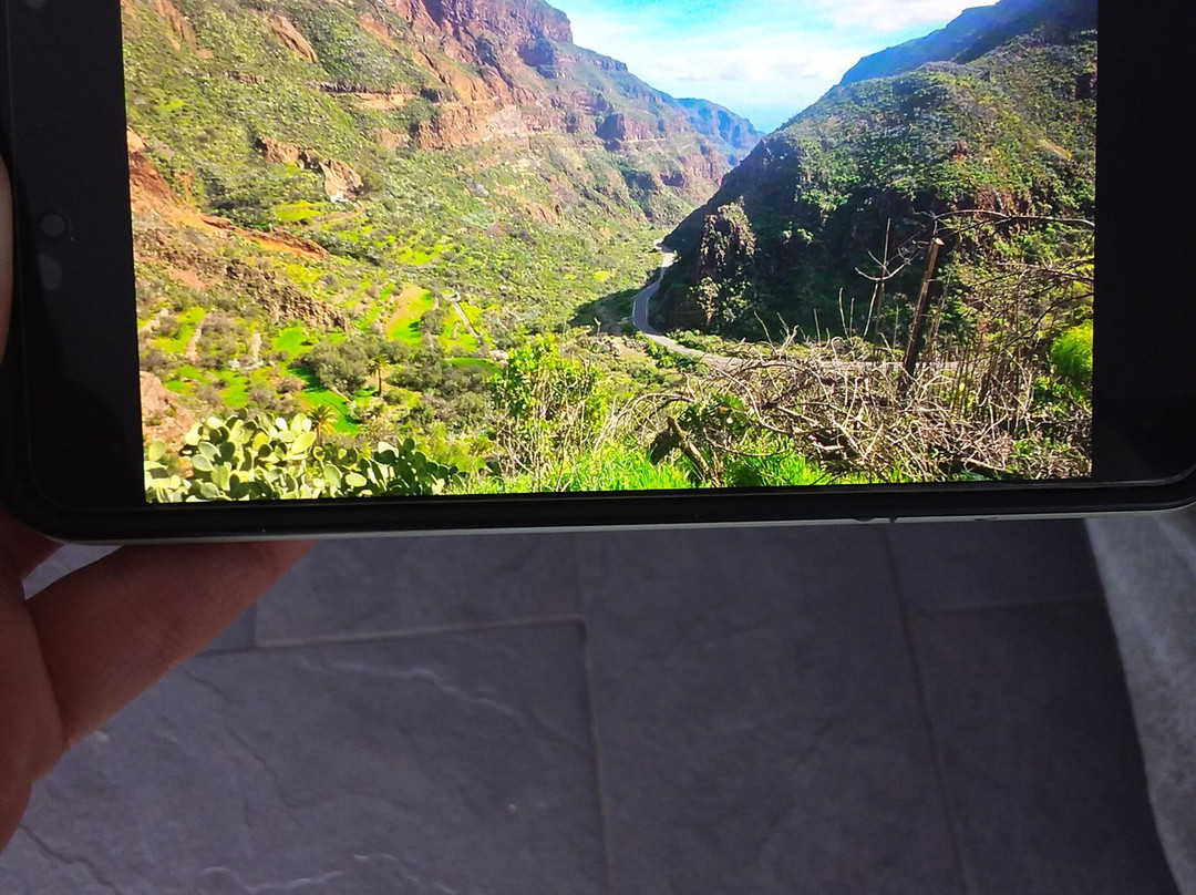 Barranco de Guayadeque-Ingenio必去景点