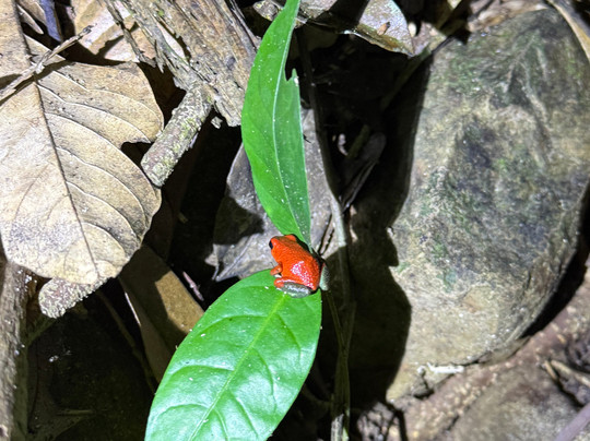 Uvita Information Center-乌维塔必去景点
