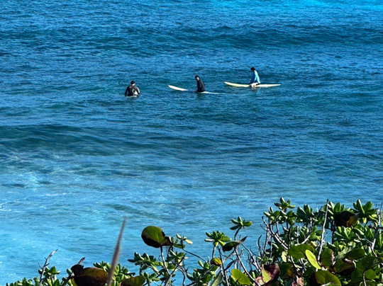 Bahamas Out Island Adventures-Gregory Town必去景点
