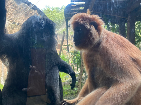 Reddog Bali Tours-库塔必去景点