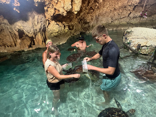 MOHAMMAD TOURS SERVICE-必韦久必去景点