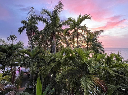 Couples Sans Souci主图