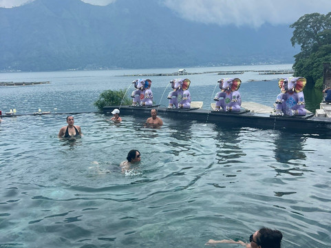 Awesome Bali Driver-水明漾必去景点