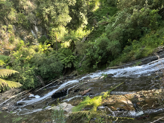 Tarra Falls-Tarra Valley必去景点
