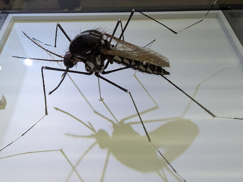 Gasometer Pforzheim-普福尔茨海姆必去景点