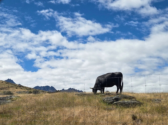 Deer Park Heights-皇后镇必去景点